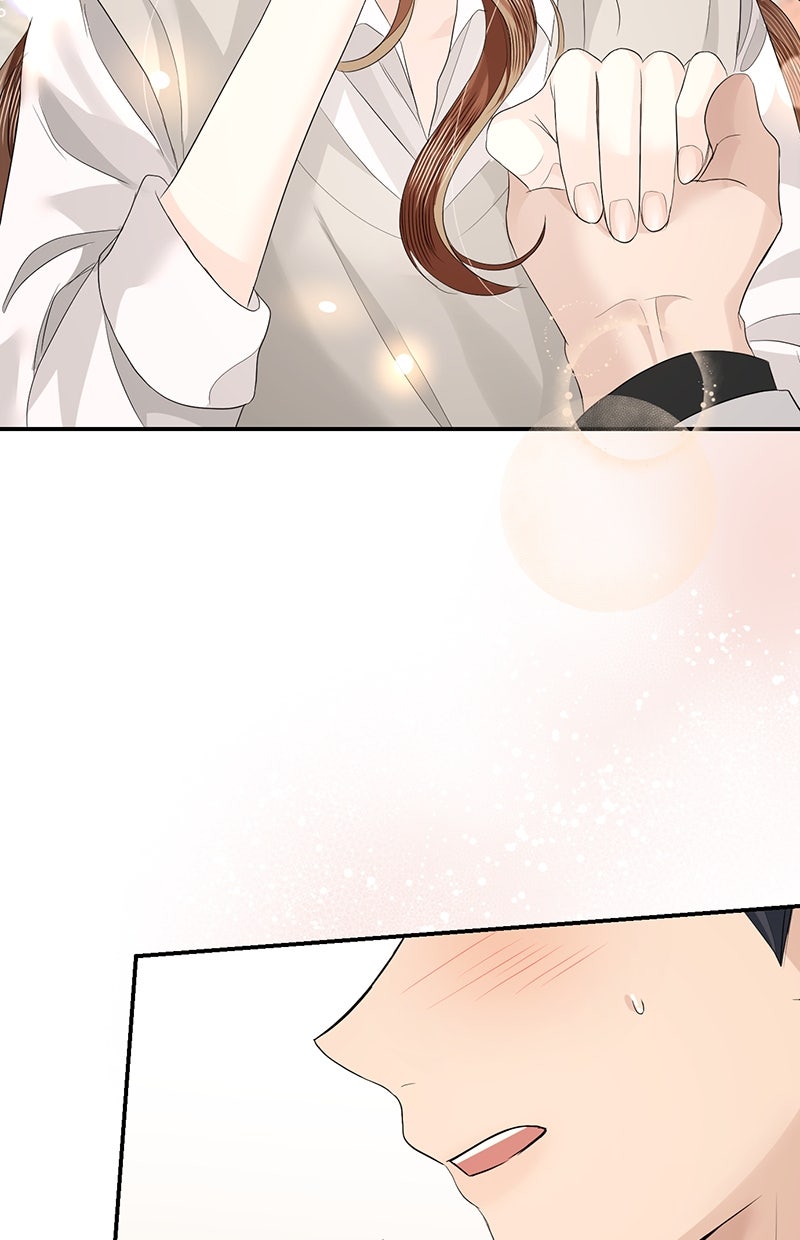 Read Perfect Marriage Revenge Manga Online