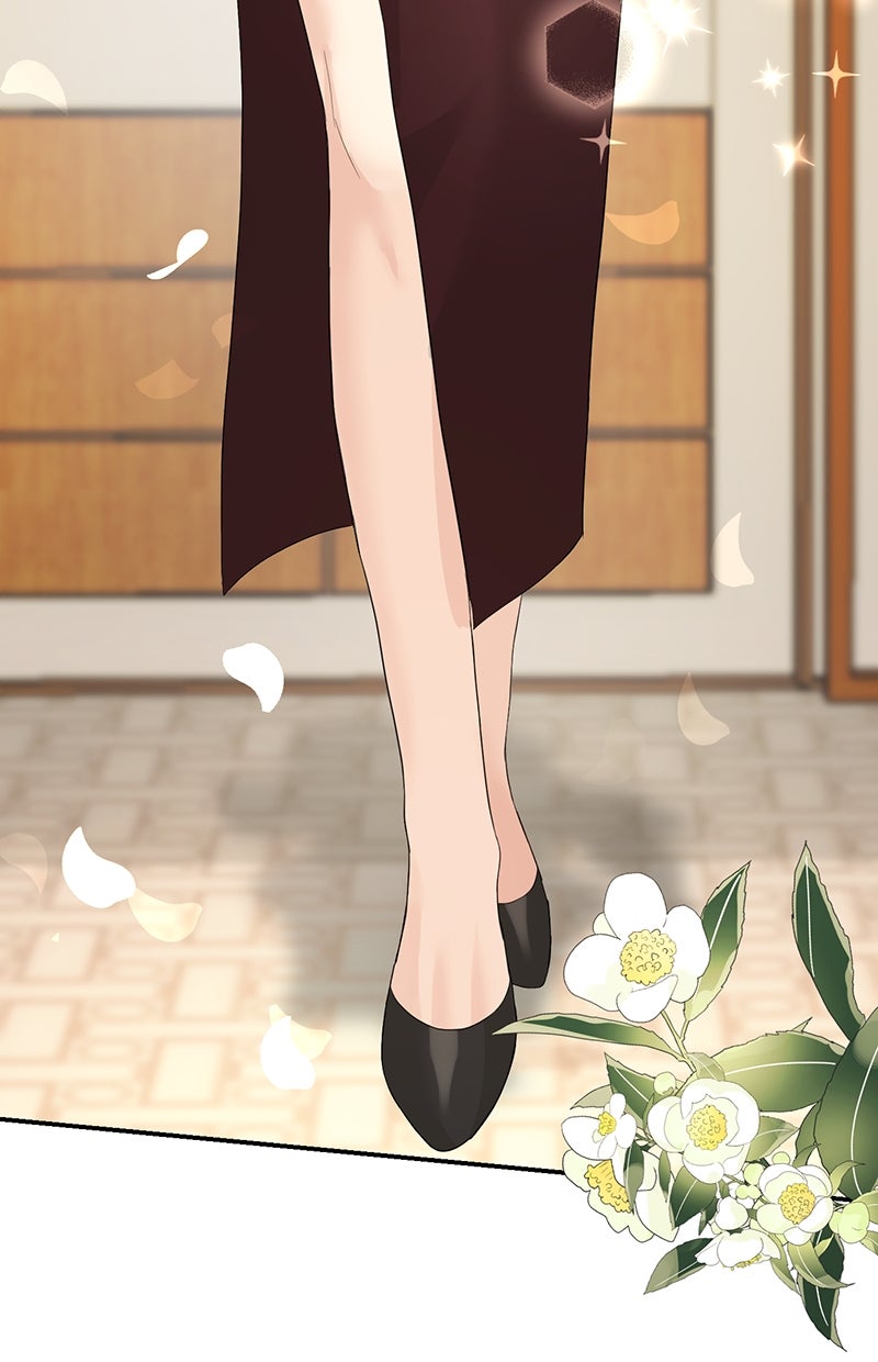 Read Perfect Marriage Revenge Manga Online
