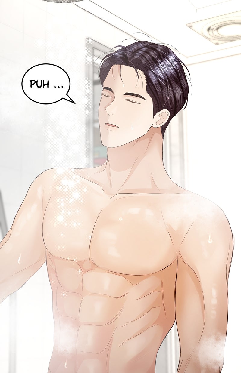 Read Perfect Marriage Revenge Manga Online