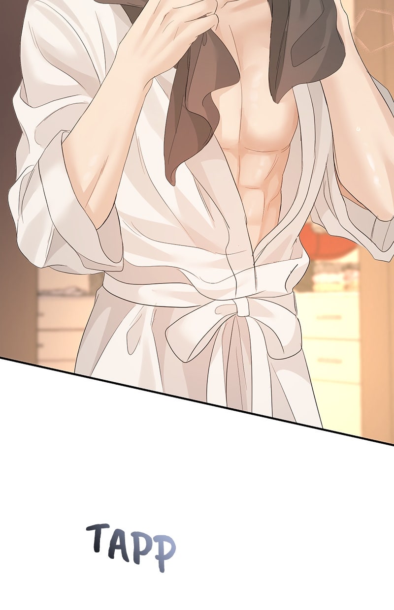 Read Perfect Marriage Revenge Manga Online