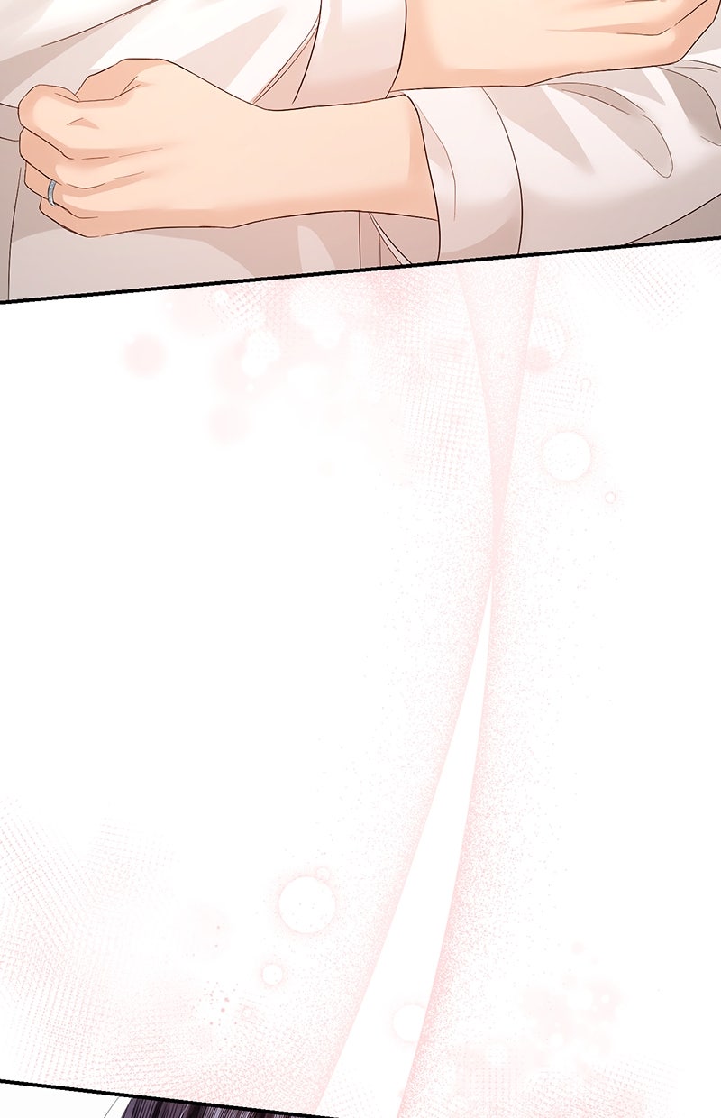 Read Perfect Marriage Revenge Manga Online