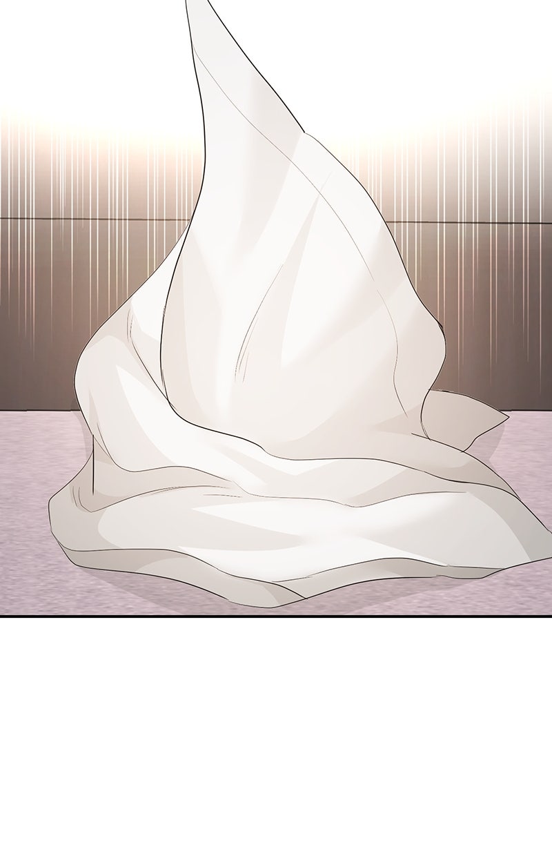Read Perfect Marriage Revenge Manga Online