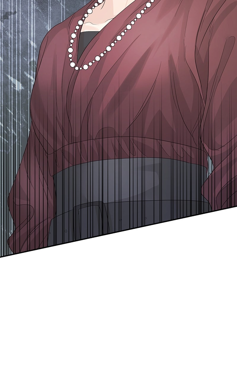 Read Perfect Marriage Revenge Manga Online