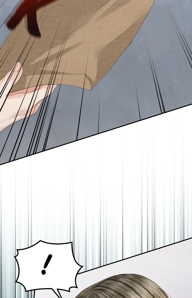 Read Perfect Marriage Revenge Manga Online