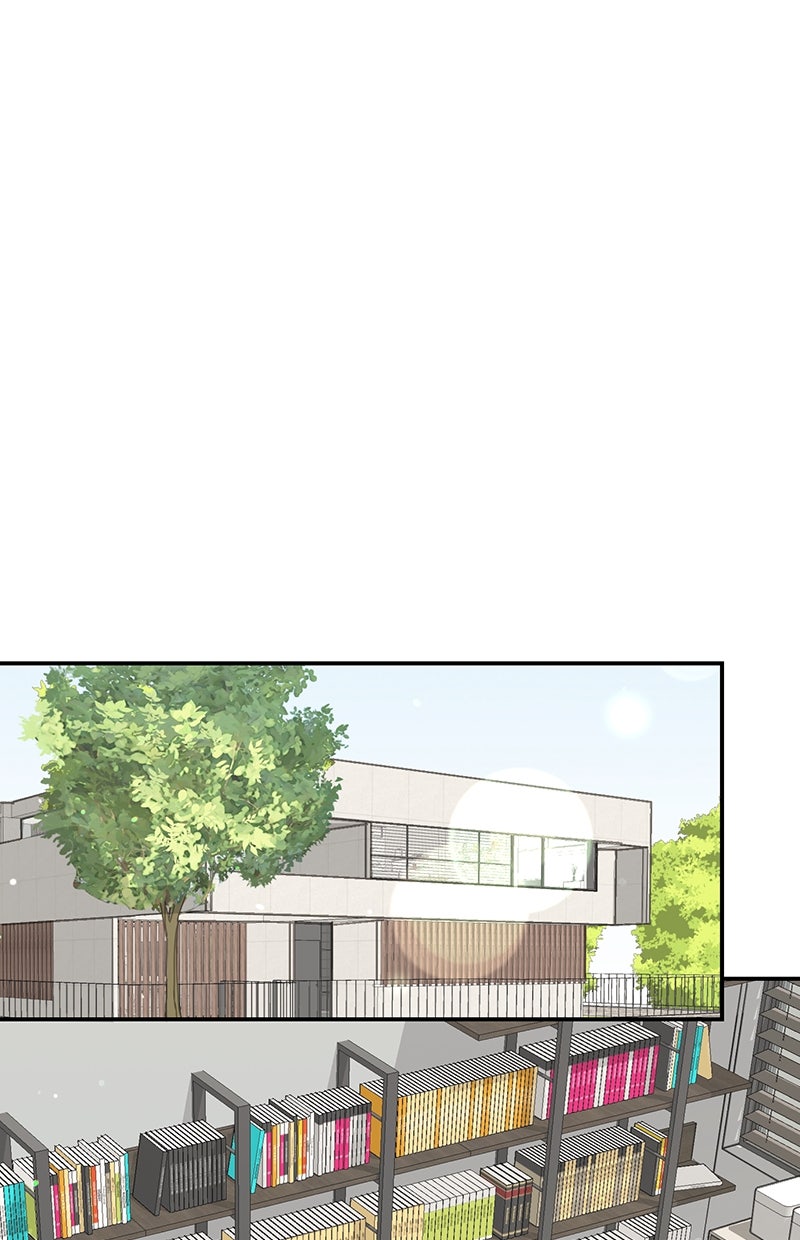 Read Perfect Marriage Revenge Manga Online