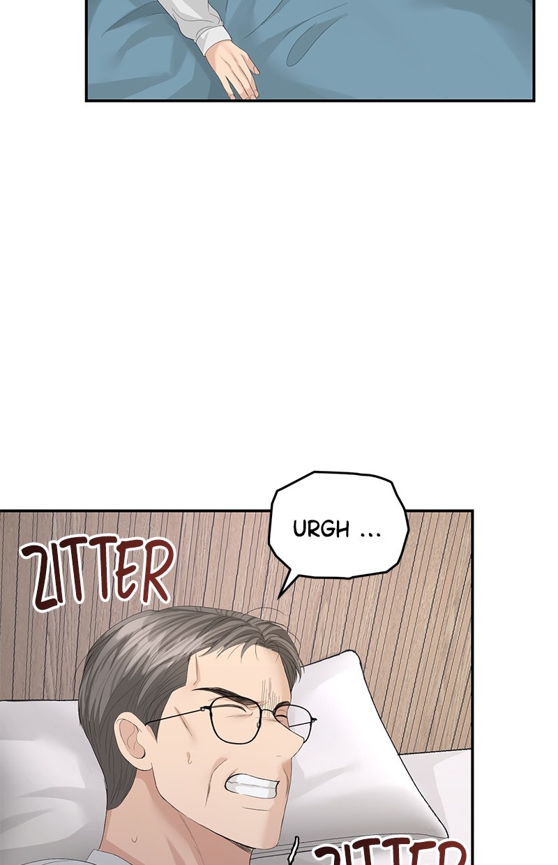 Read Perfect Marriage Revenge Manga Online