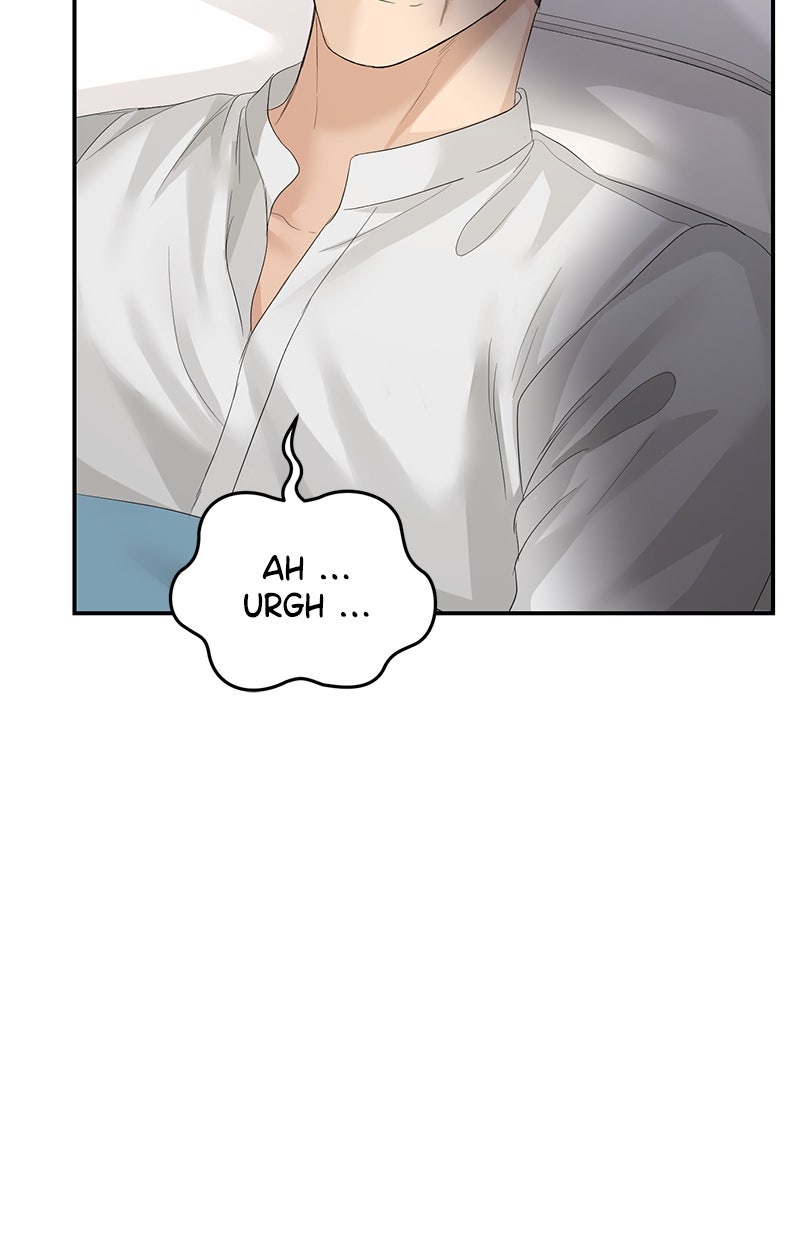 Read Perfect Marriage Revenge Manga Online