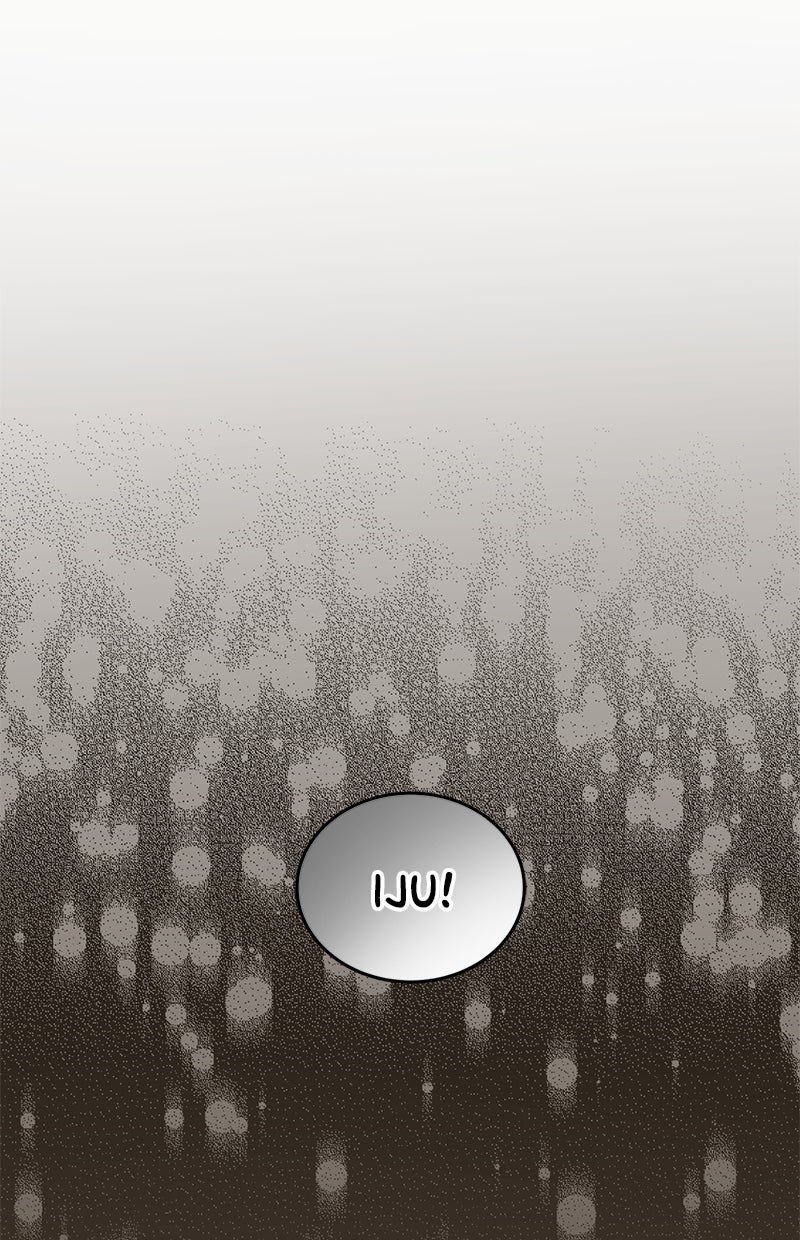 Read Perfect Marriage Revenge Manga Online