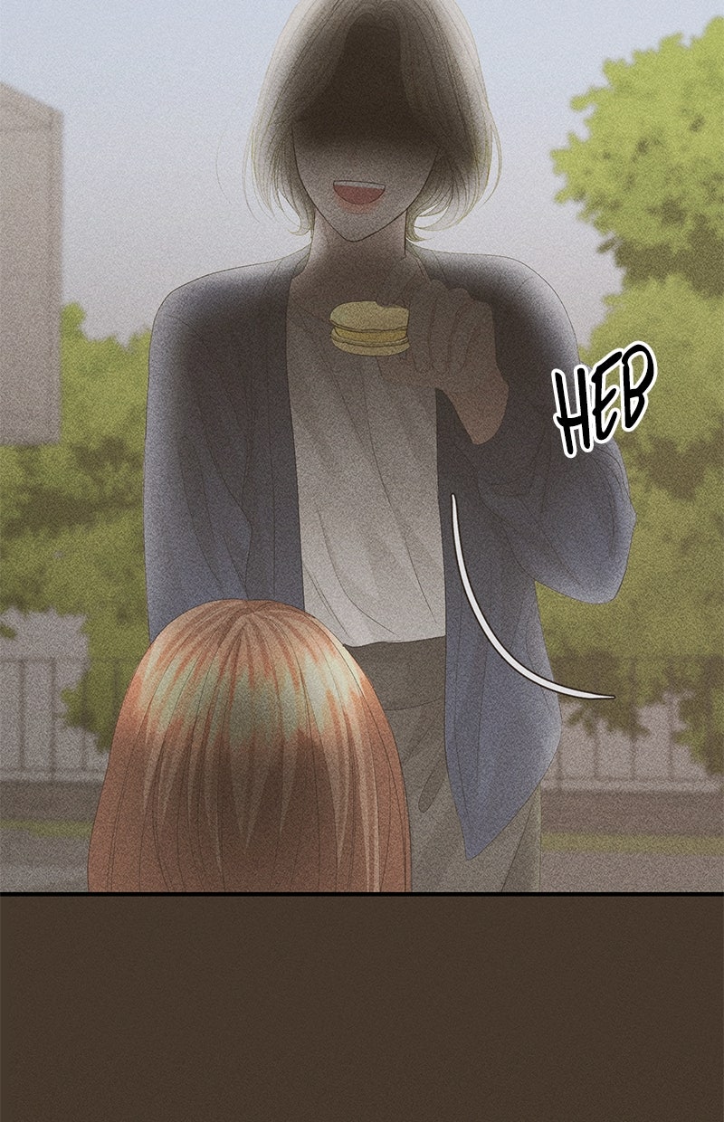 Read Perfect Marriage Revenge Manga Online