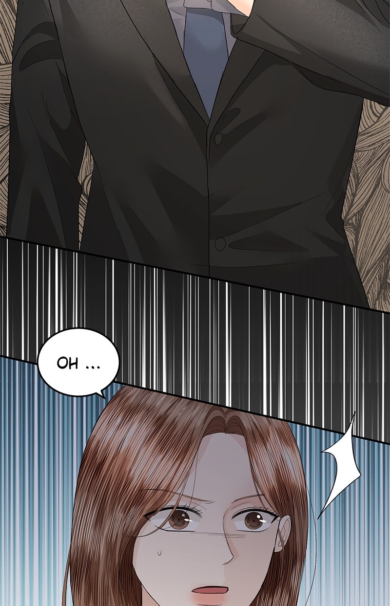 Read Perfect Marriage Revenge Manga Online