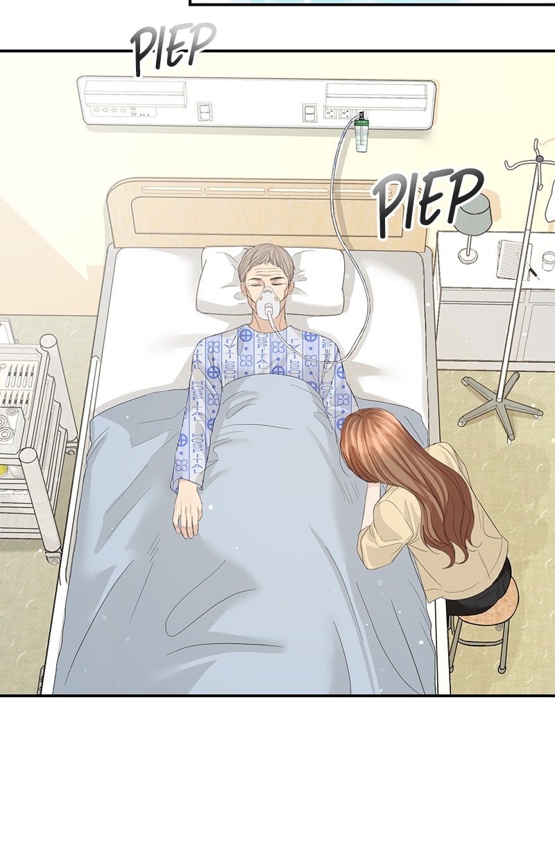 Read Perfect Marriage Revenge Manga Online