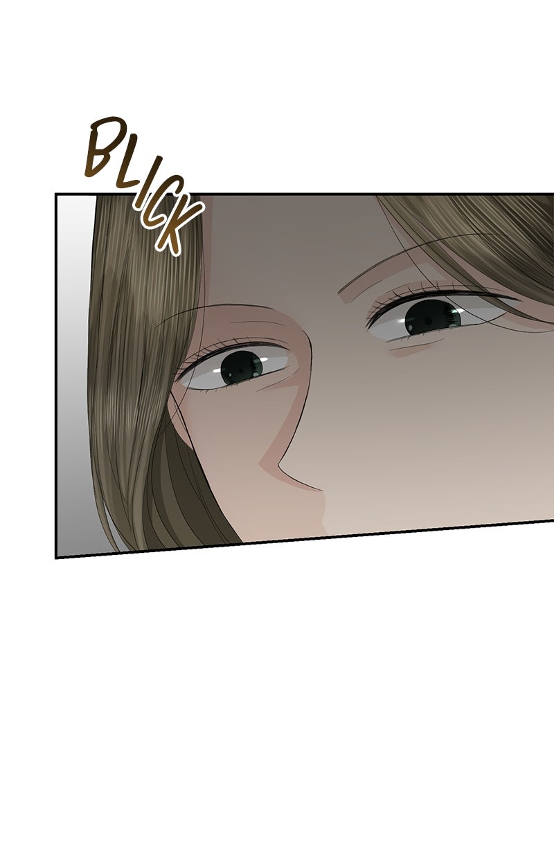 Read Perfect Marriage Revenge Manga Online