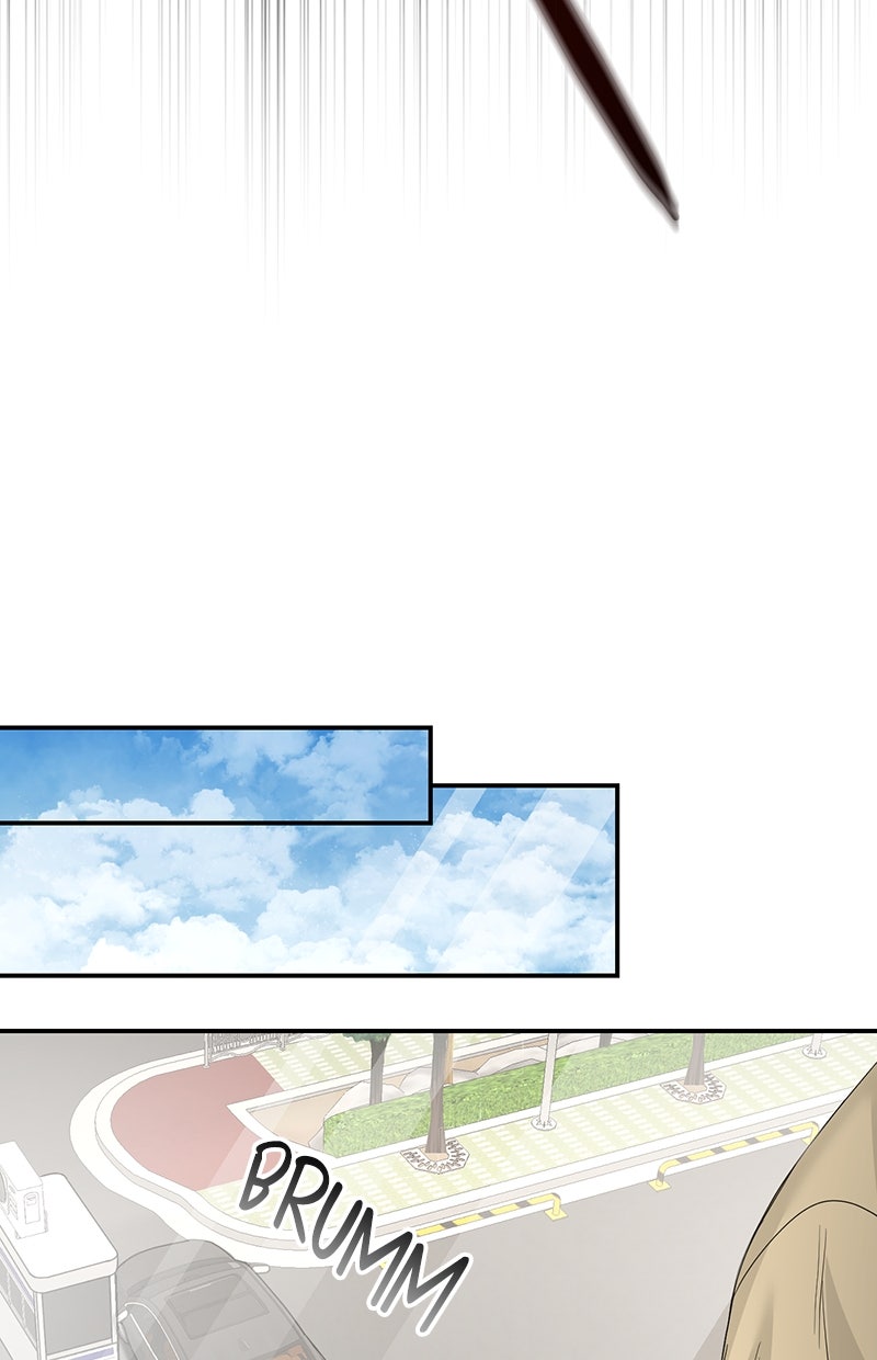 Read Perfect Marriage Revenge Manga Online