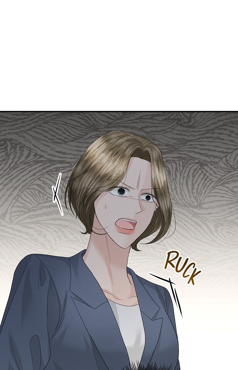 Read Perfect Marriage Revenge Manga Online