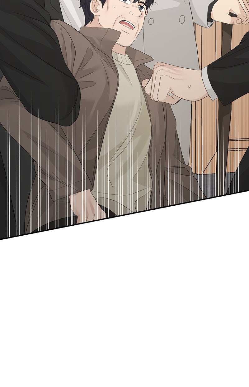 Read Perfect Marriage Revenge Manga Online