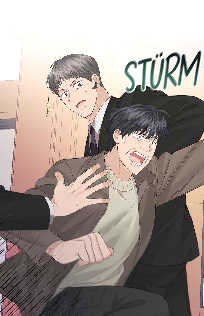 Read Perfect Marriage Revenge Manga Online