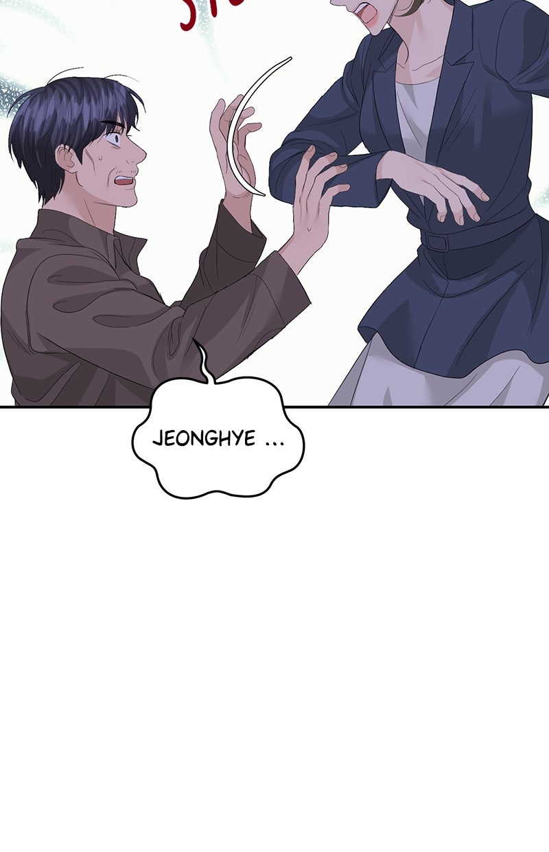 Read Perfect Marriage Revenge Manga Online