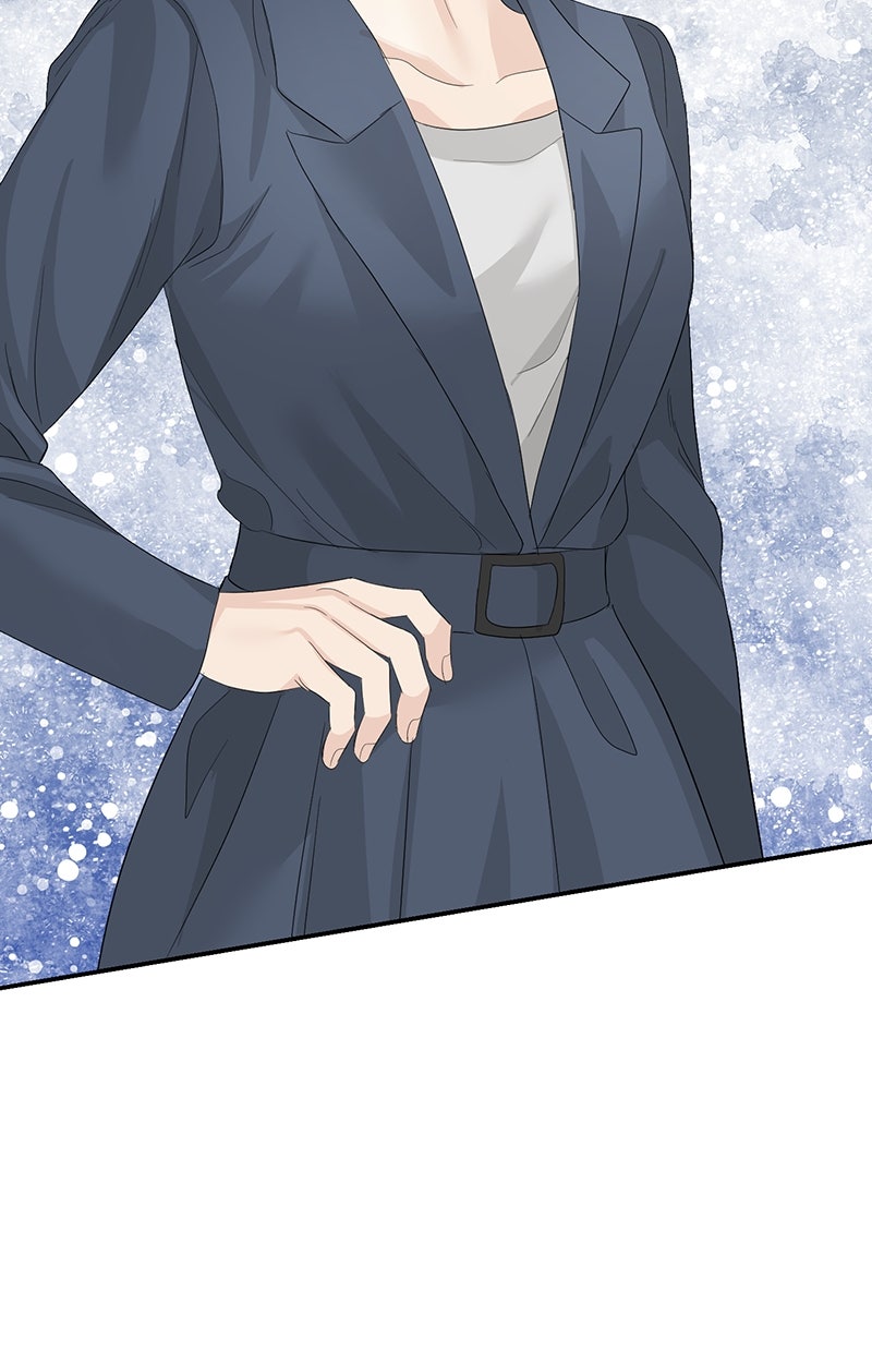 Read Perfect Marriage Revenge Manga Online