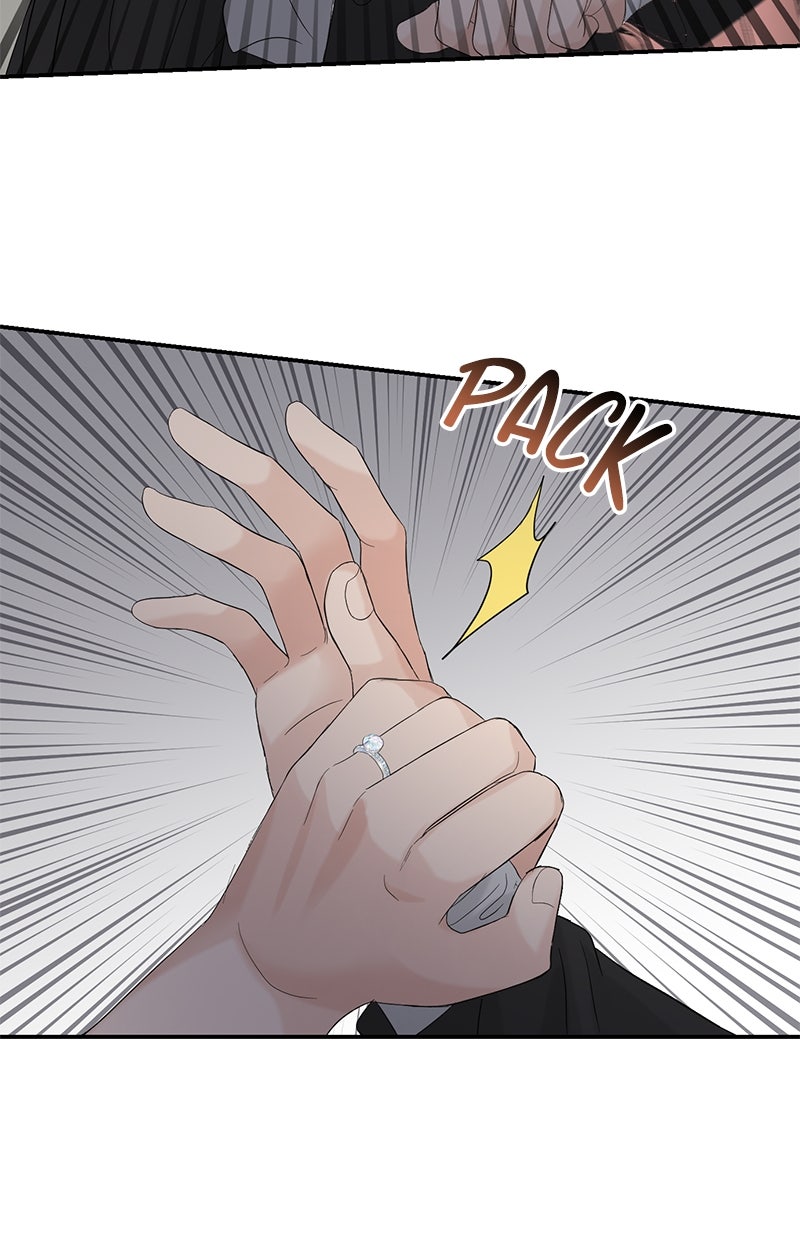 Read Perfect Marriage Revenge Manga Online