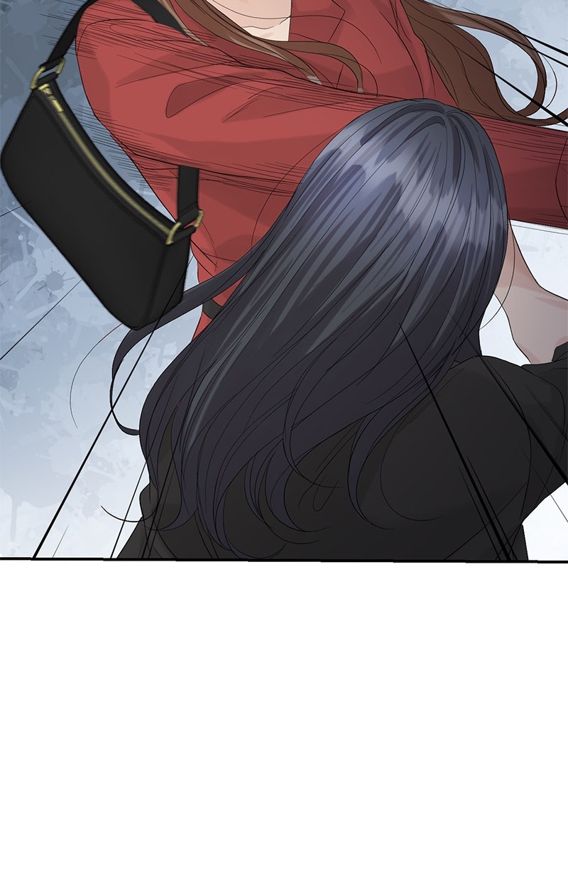 Read Perfect Marriage Revenge Manga Online