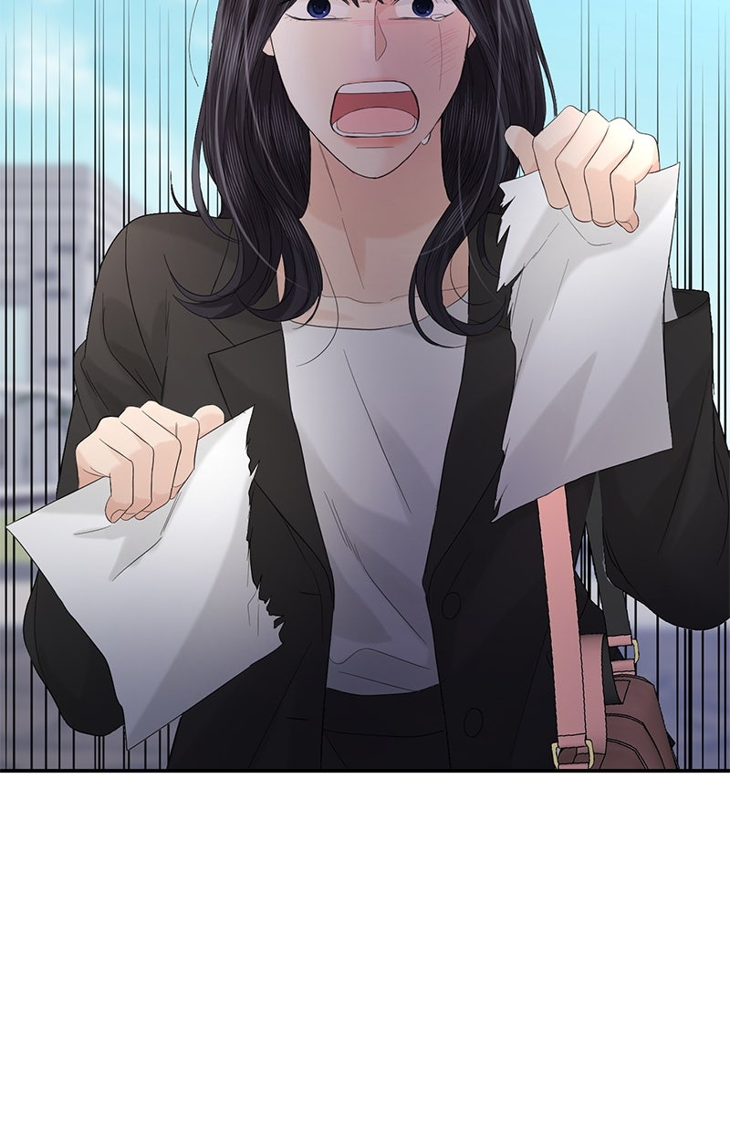 Read Perfect Marriage Revenge Manga Online