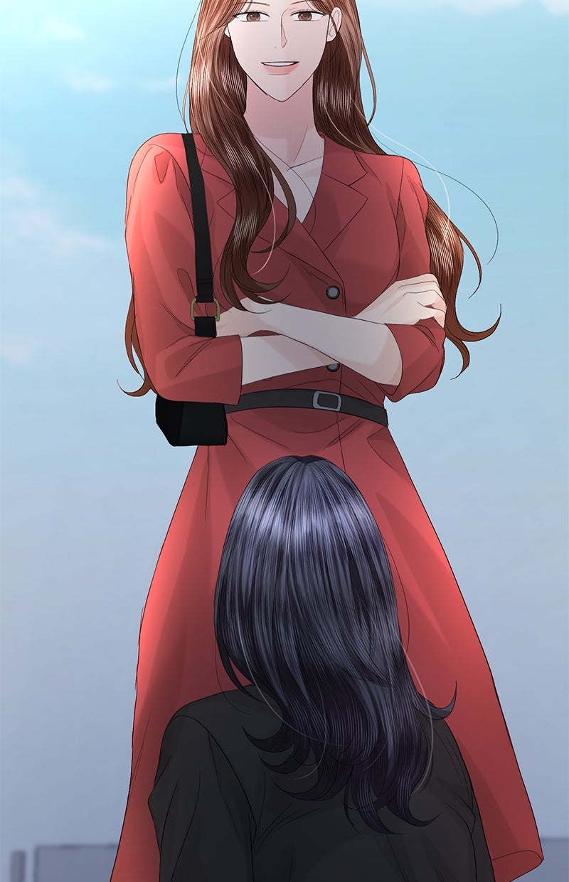 Read Perfect Marriage Revenge Manga Online