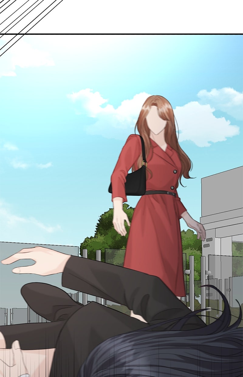 Read Perfect Marriage Revenge Manga Online