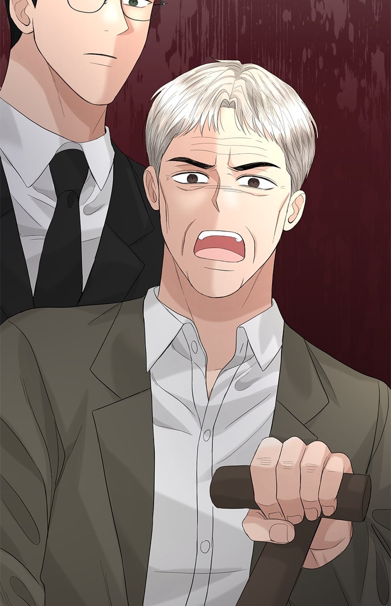 Read Perfect Marriage Revenge Manga Online