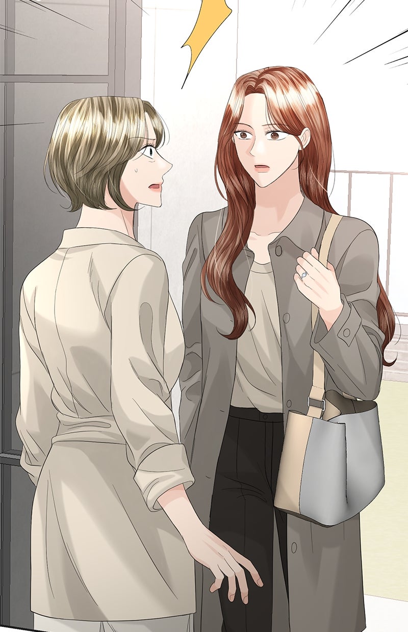 Read Perfect Marriage Revenge Manga Online