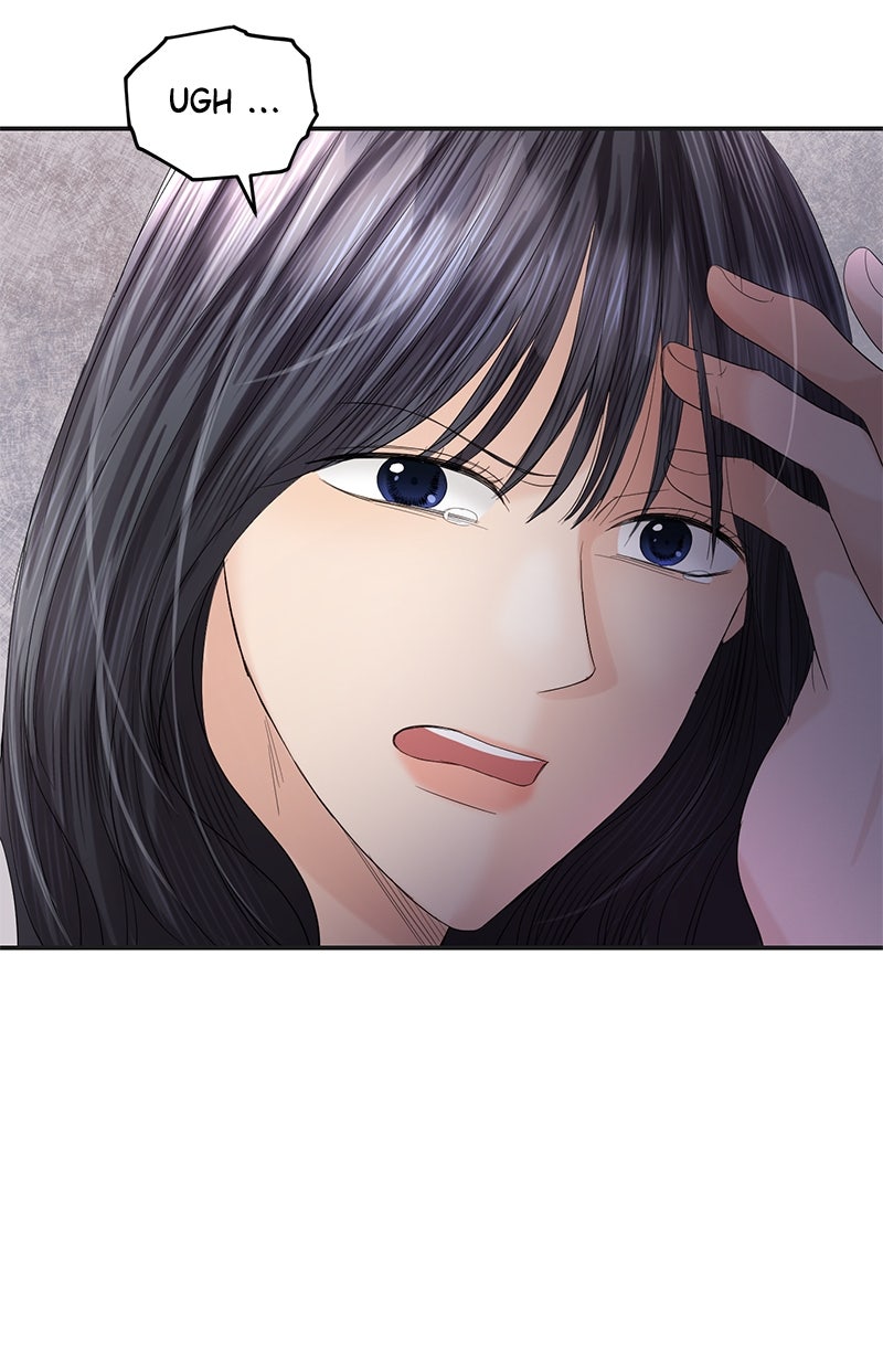 Read Perfect Marriage Revenge Manga Online