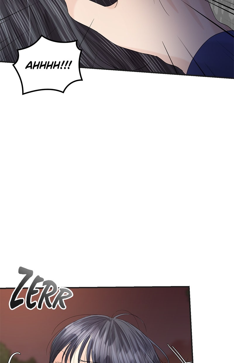 Read Perfect Marriage Revenge Manga Online