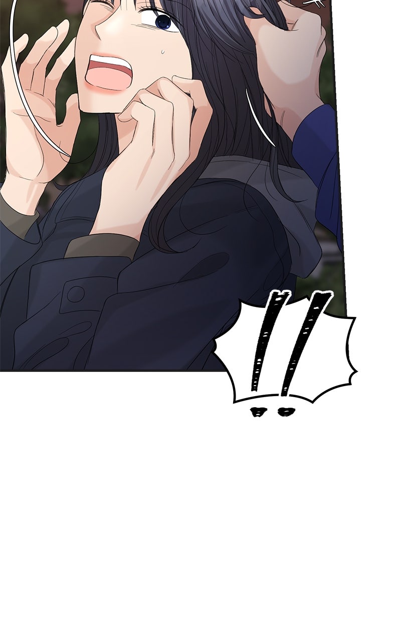 Read Perfect Marriage Revenge Manga Online