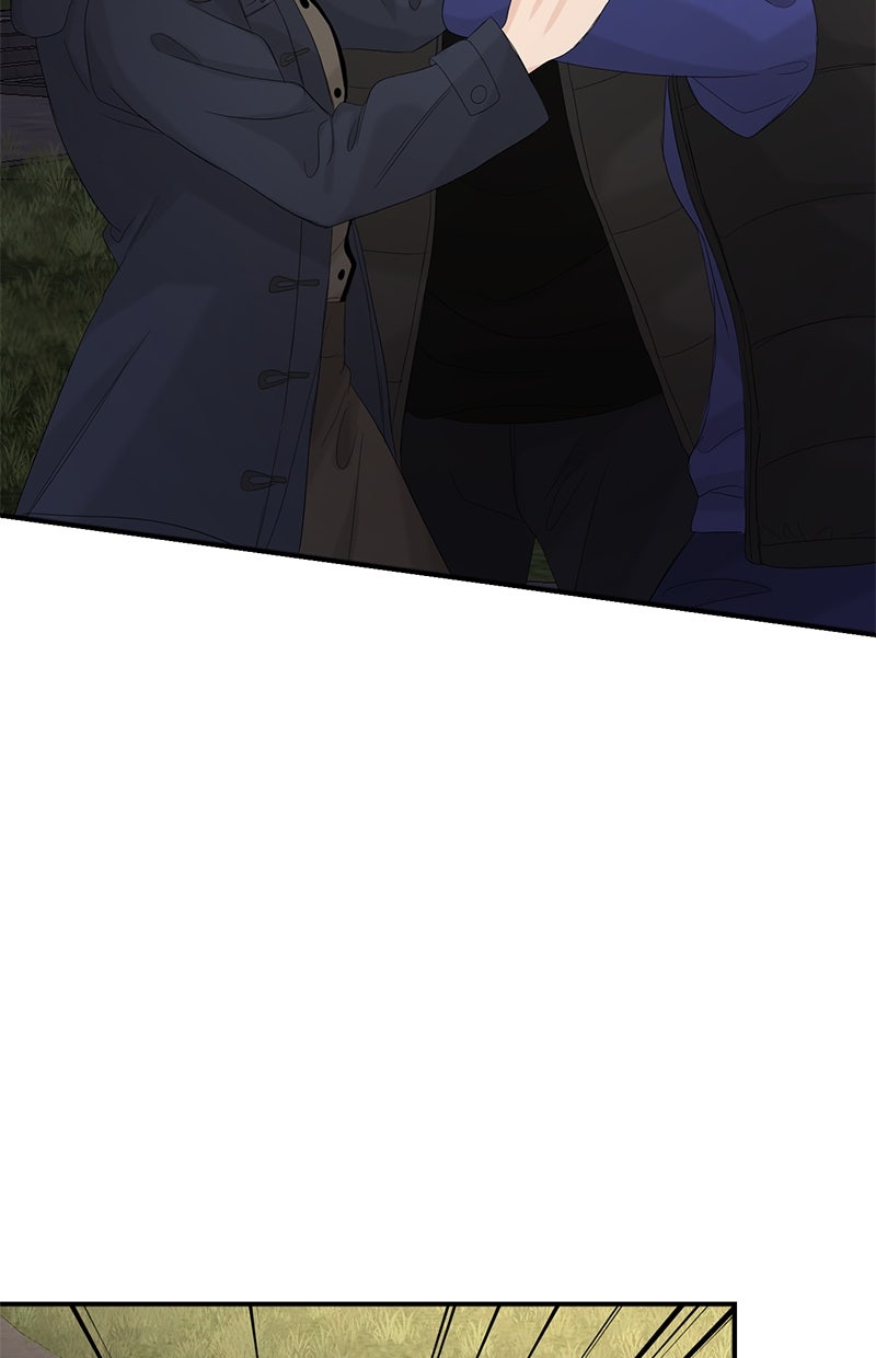 Read Perfect Marriage Revenge Manga Online