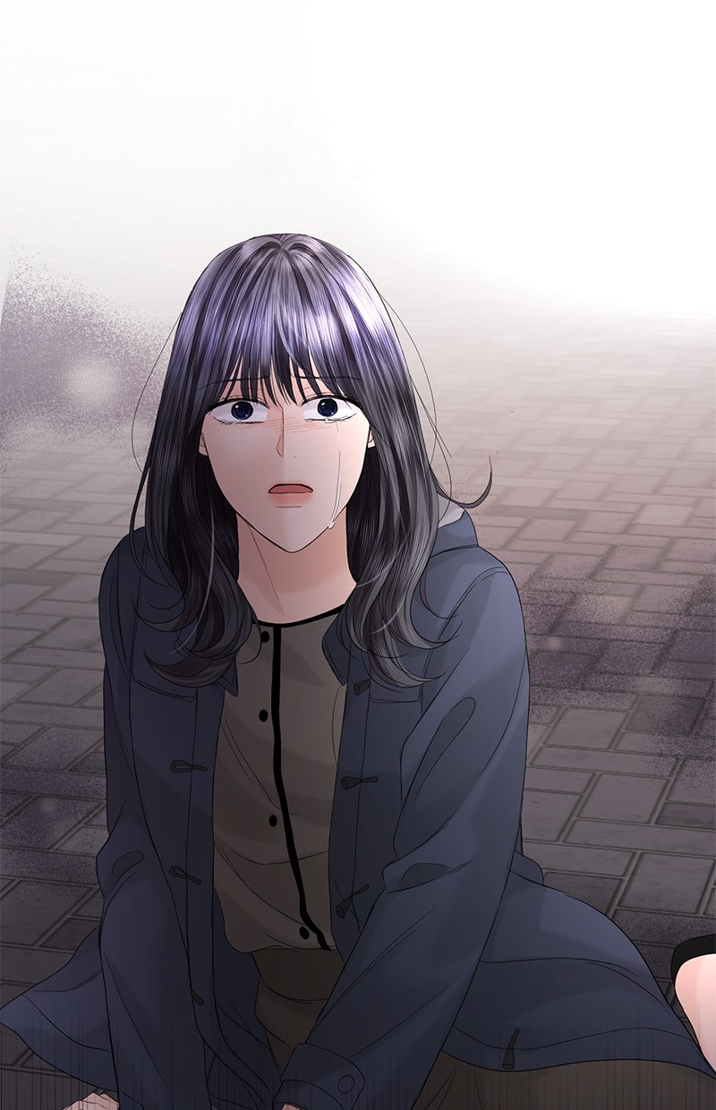 Read Perfect Marriage Revenge Manga Online