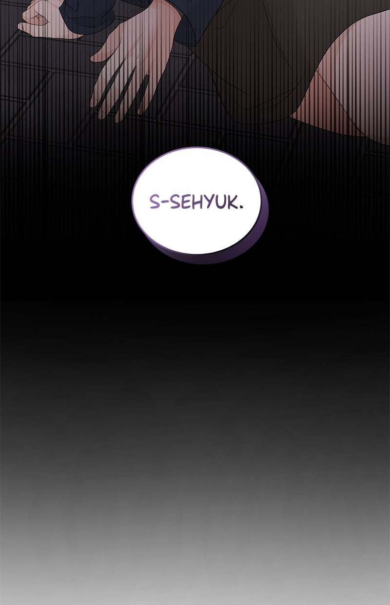 Read Perfect Marriage Revenge Manga Online