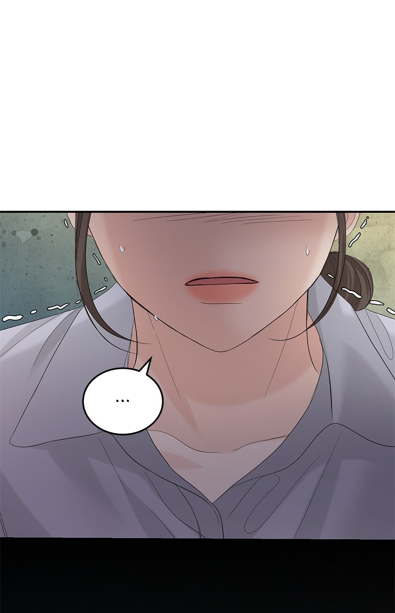 Read Perfect Marriage Revenge Manga Online