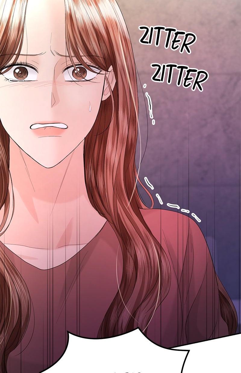 Read Perfect Marriage Revenge Manga Online