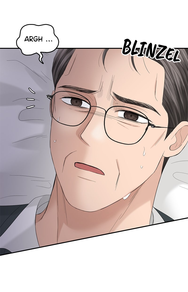 Read Perfect Marriage Revenge Manga Online