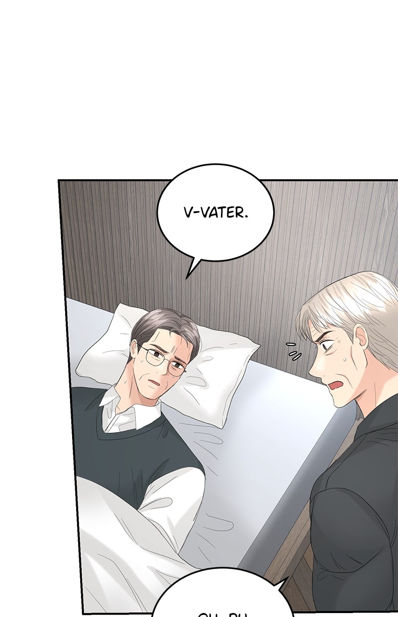 Read Perfect Marriage Revenge Manga Online