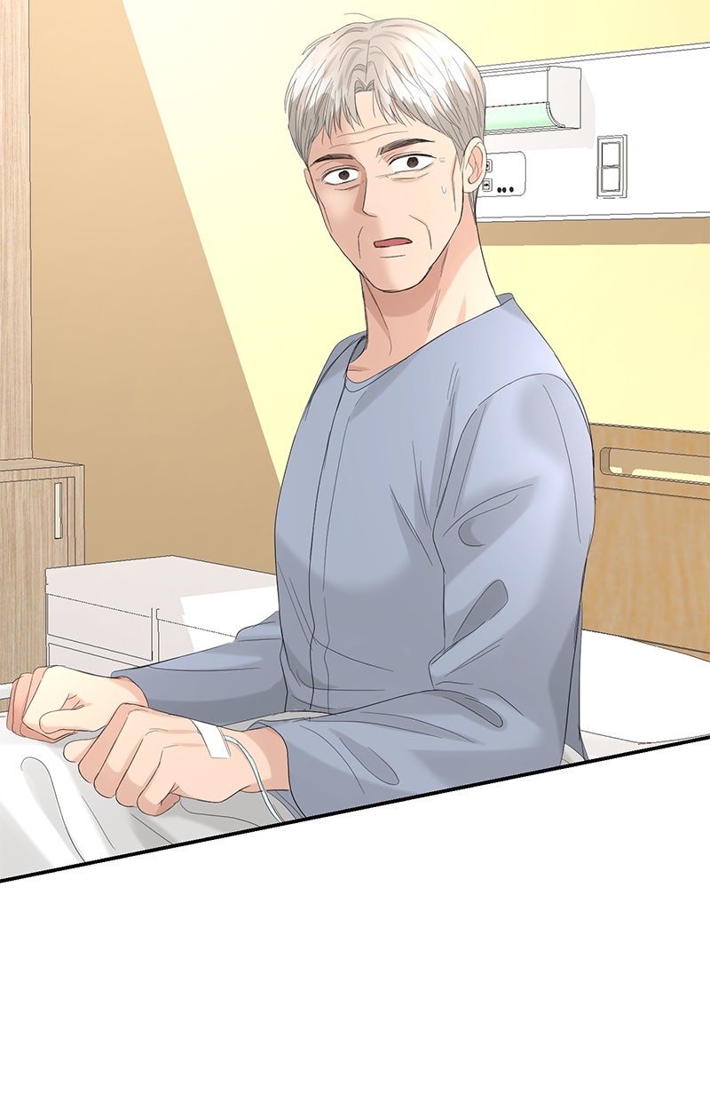 Read Perfect Marriage Revenge Manga Online