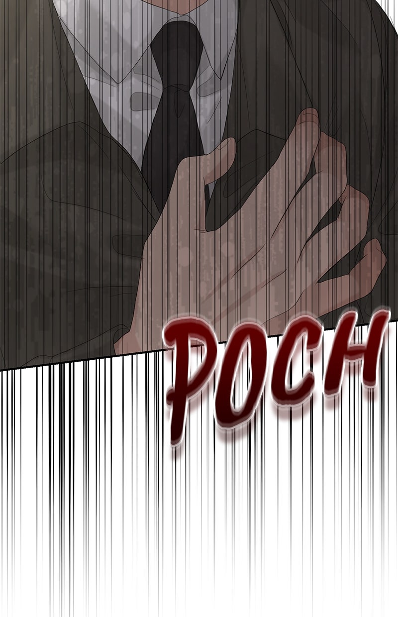 Read Perfect Marriage Revenge Manga Online