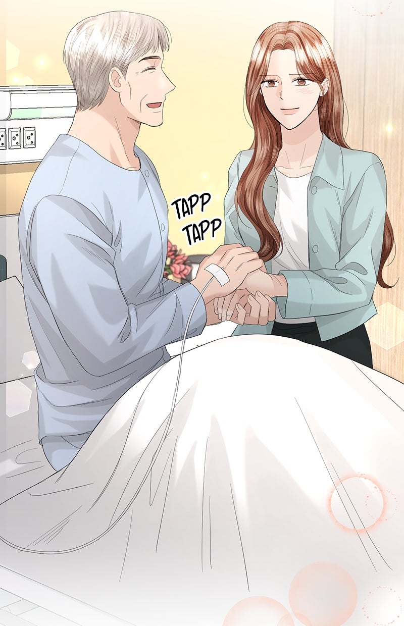 Read Perfect Marriage Revenge Manga Online