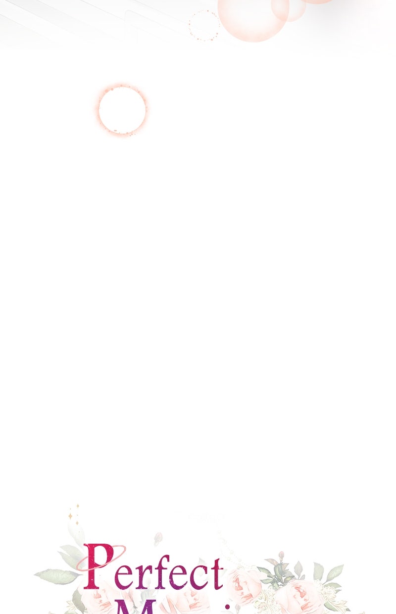 Read Perfect Marriage Revenge Manga Online