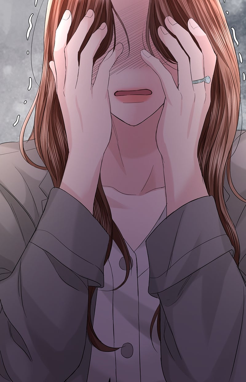 Read Perfect Marriage Revenge Manga Online