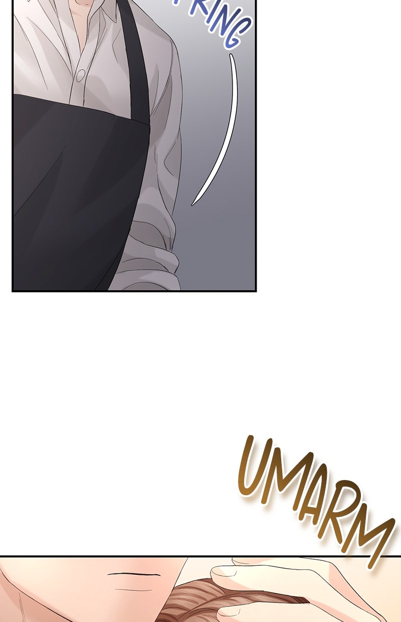 Read Perfect Marriage Revenge Manga Online