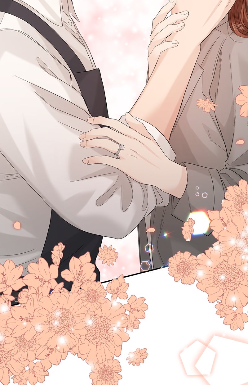 Read Perfect Marriage Revenge Manga Online