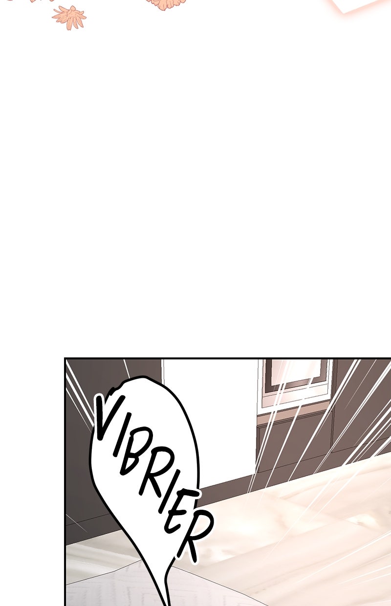 Read Perfect Marriage Revenge Manga Online