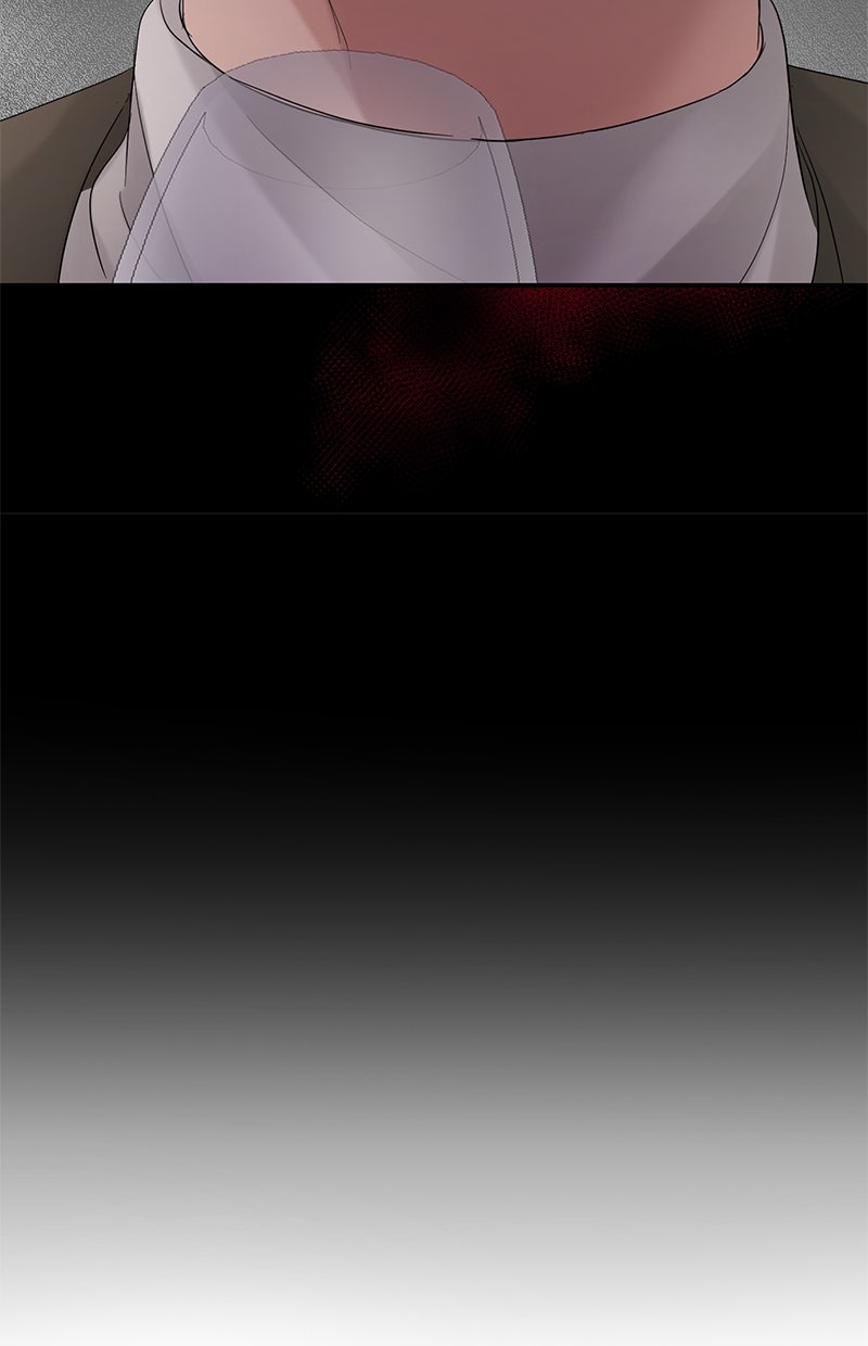 Read Perfect Marriage Revenge Manga Online