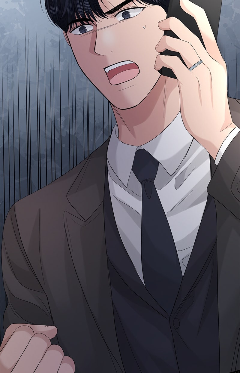 Read Perfect Marriage Revenge Manga Online