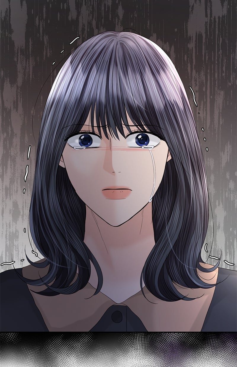 Read Perfect Marriage Revenge Manga Online